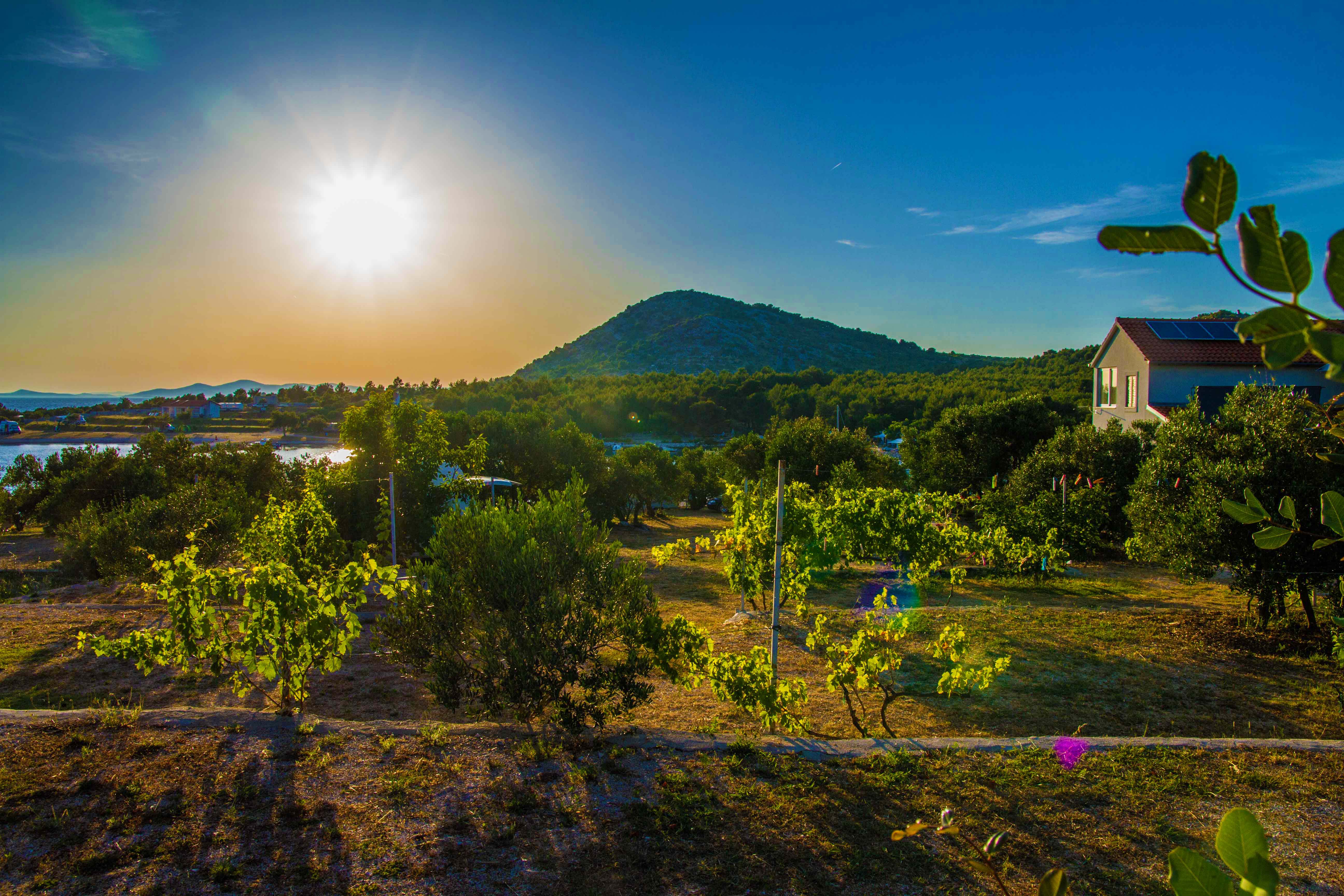 panoramski pogled iz campa Romantica u Dragama